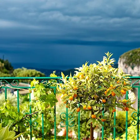 Bella Vita Villa
